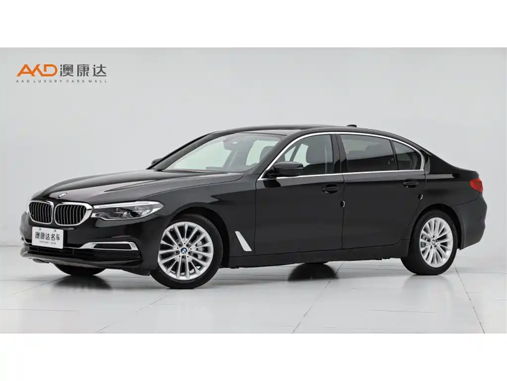 BMW 5 Series 2020 530Li Premium Luxury Package