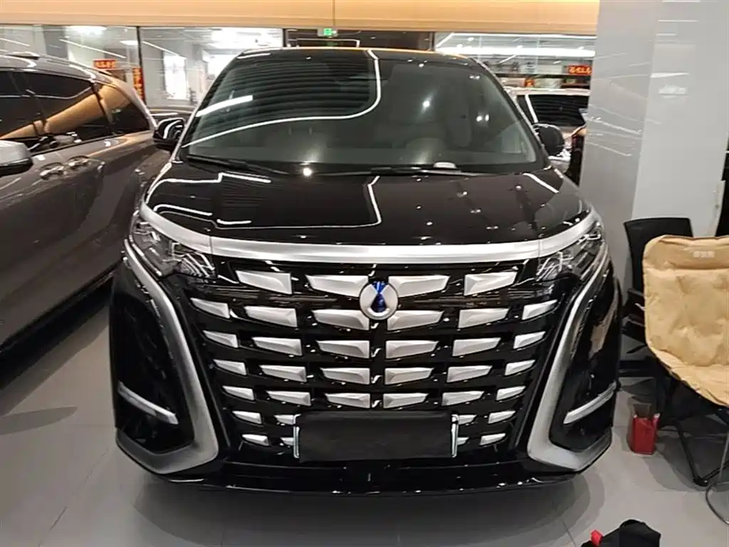 Denza D9 2024 DM-i 980 AWD Prestige фото 3