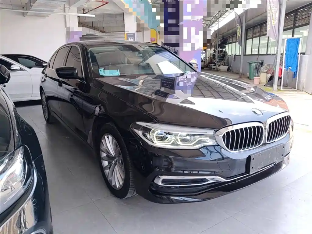 BMW 5 Series 2020 530Li Leading Luxury Package фото 4