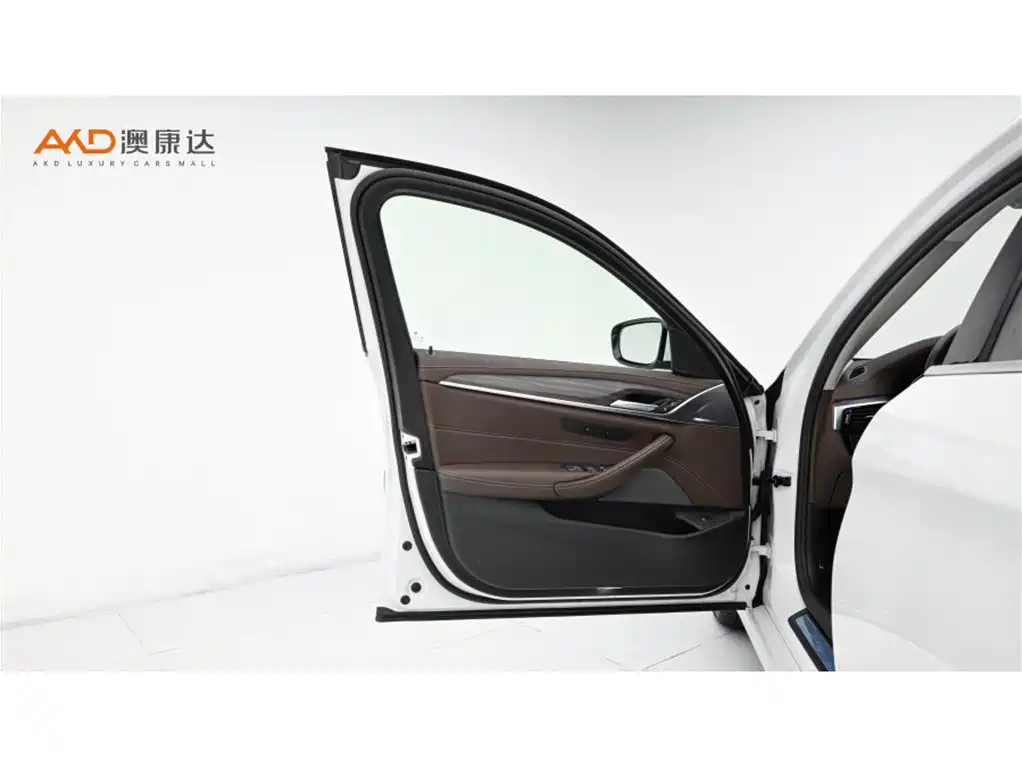 BMW 5 Series 2021 530Li Leading Luxury Package фото 10