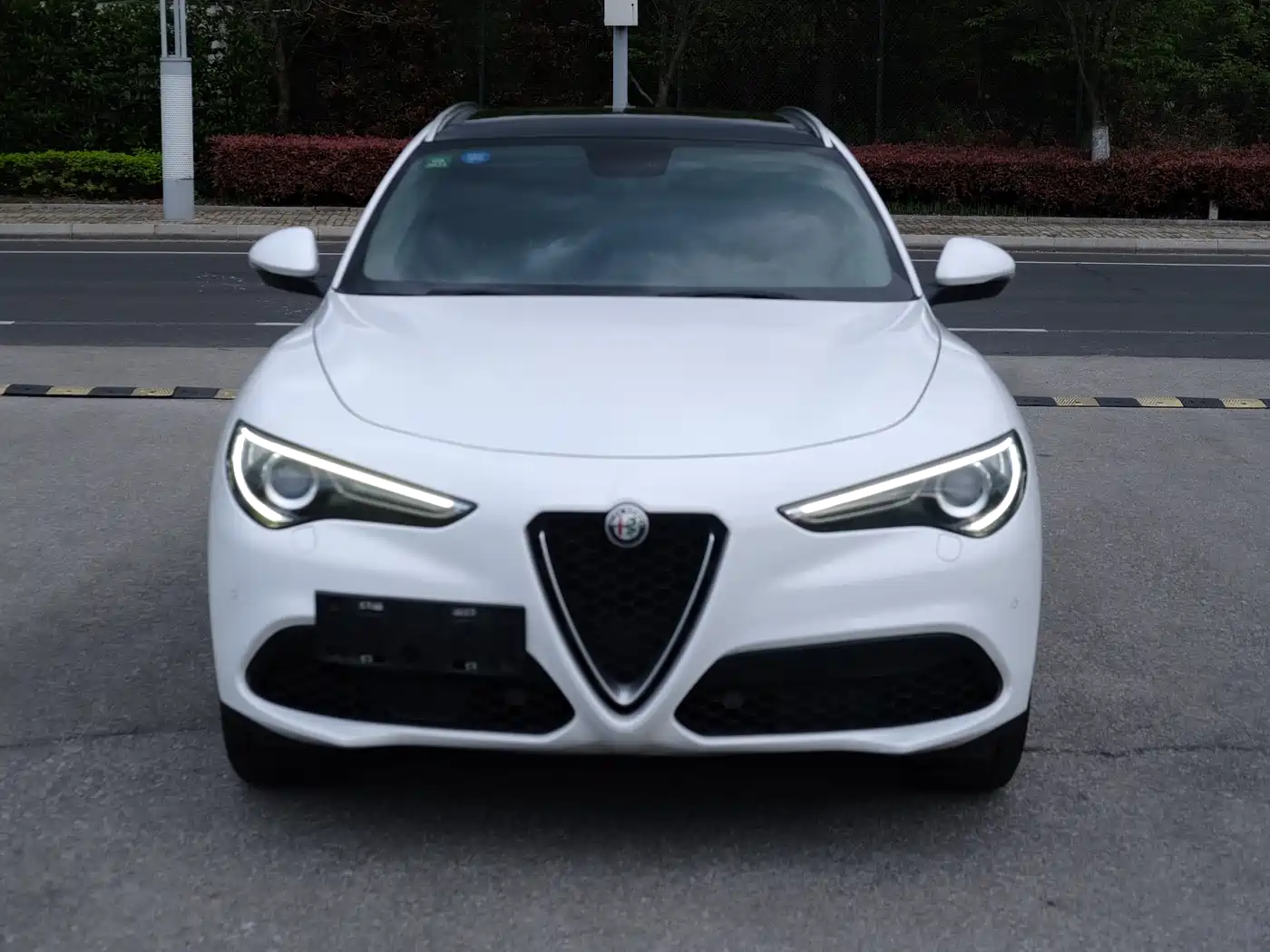 Alfa Romeo Stelvio 2019 2017 2.0T 200HP Luxury Edition