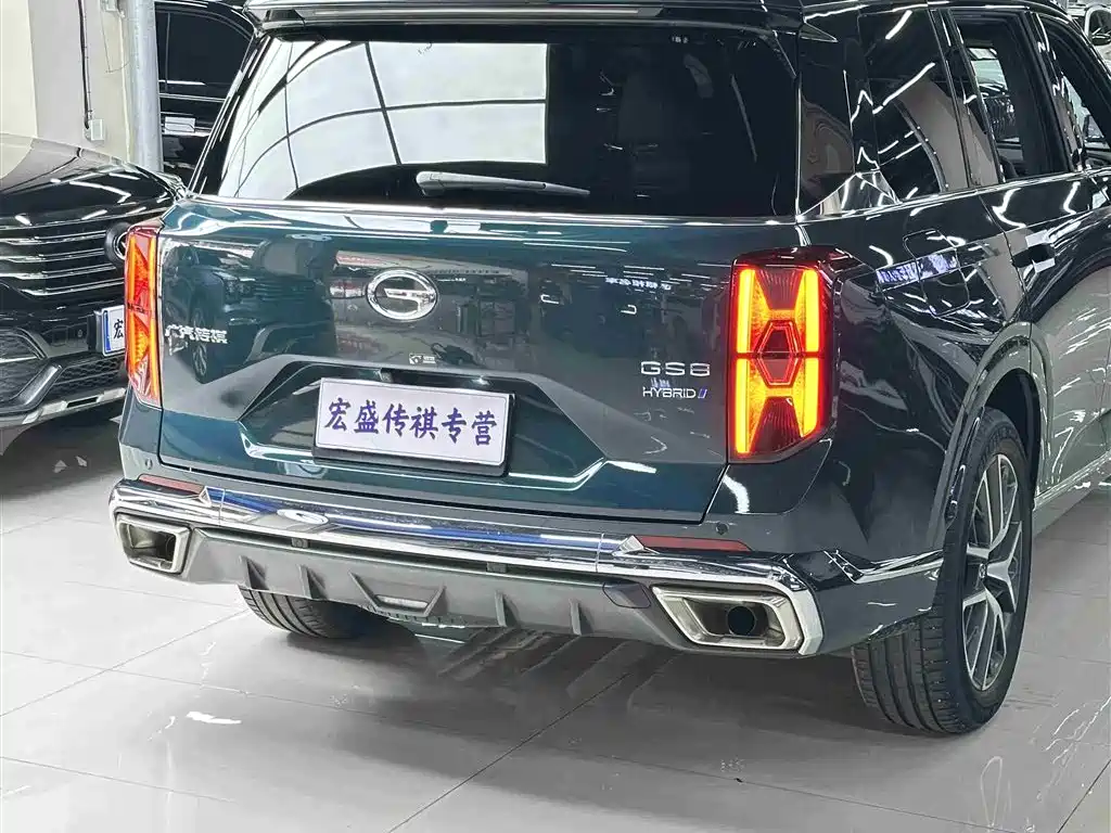 GAC Trumpchi Trumpchi GS8 2022 Dual Engine Series 2.0TM 2WD Premium Edition (6-Seater) фото 35