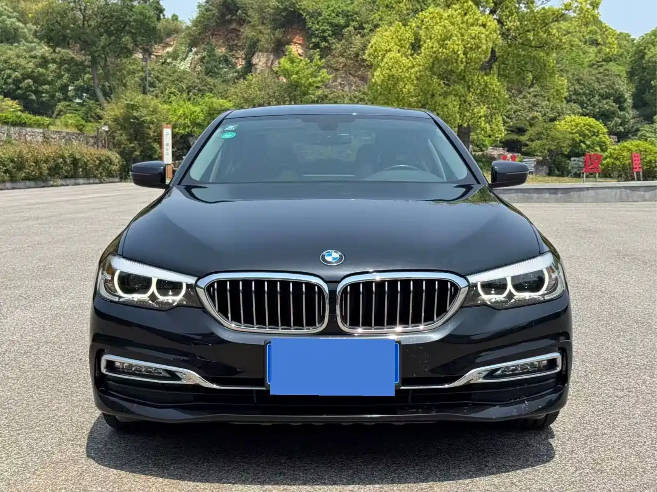 BMW 5 Series 2018 530Li Leading Luxury Package фото 2