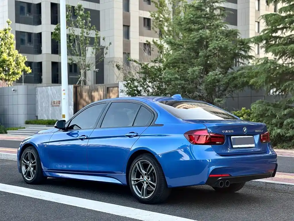 BMW 3 Series 2019 320Li M Sport Black Night Edition фото 3