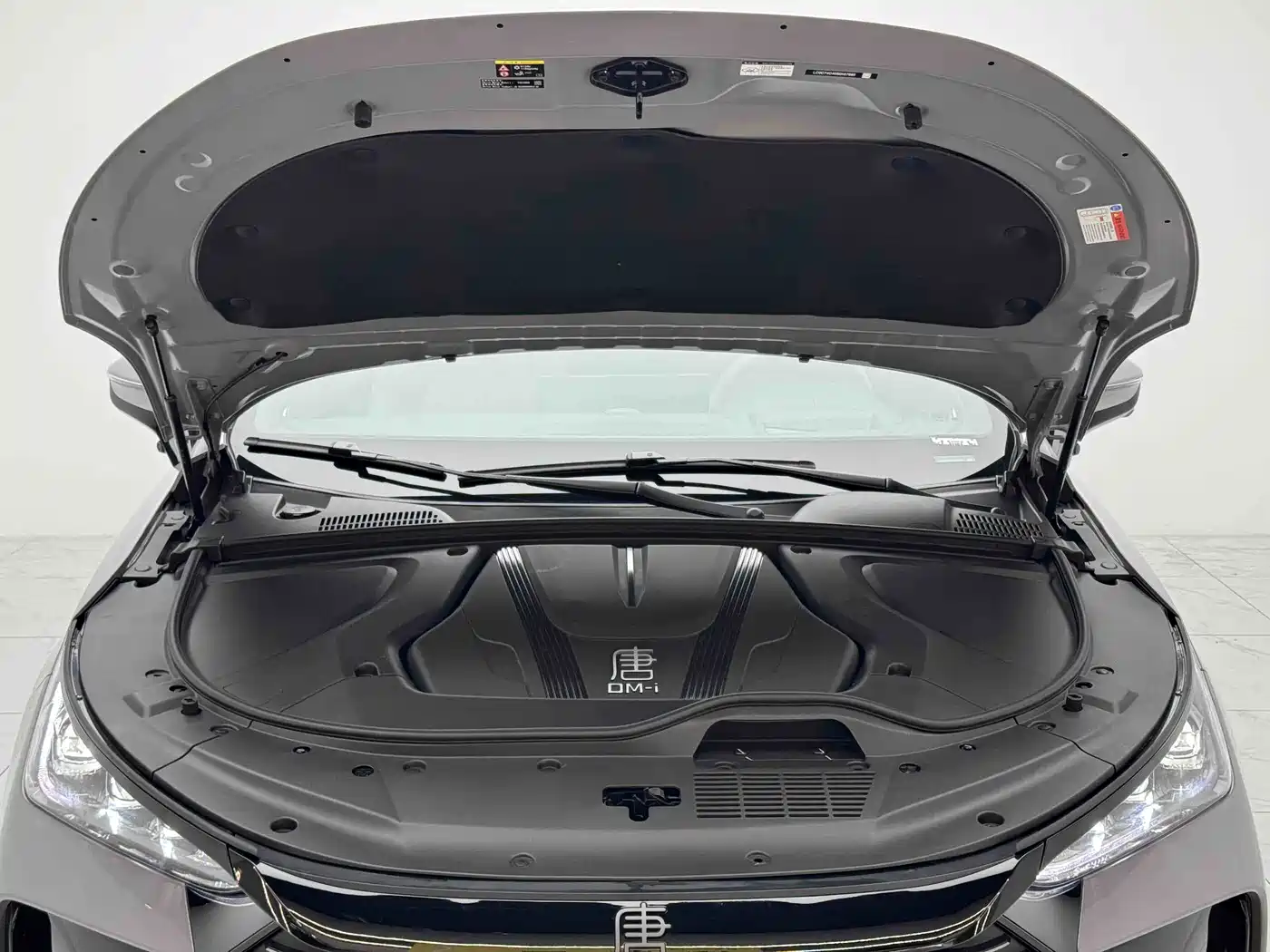 BYD Tang New Energy 2025 2025 Smart Driving Edition DM-i 115KM Premium