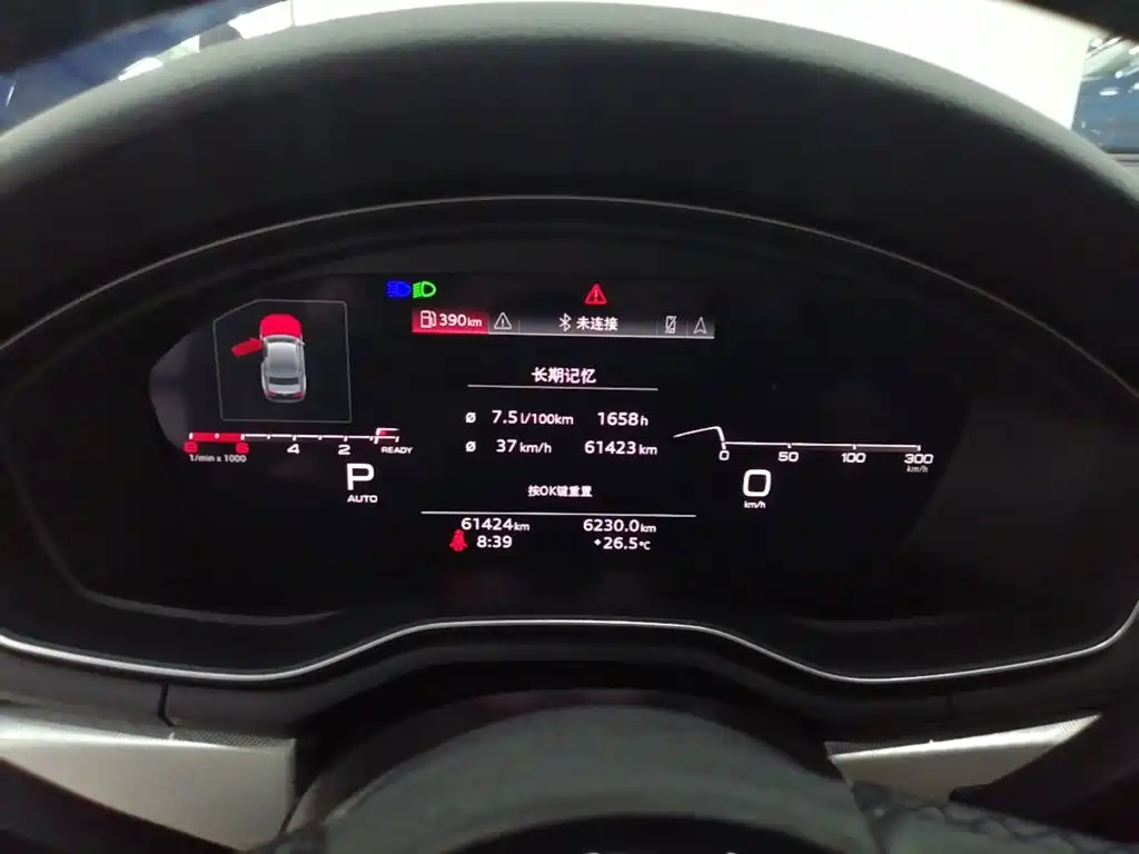 Фото 12 - Audi A5 (Import)