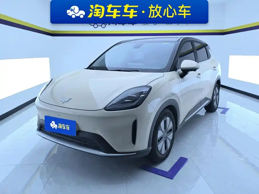 Wuling Motors Wuling Bingo S 2026 2025 Model 325km Premium Edition