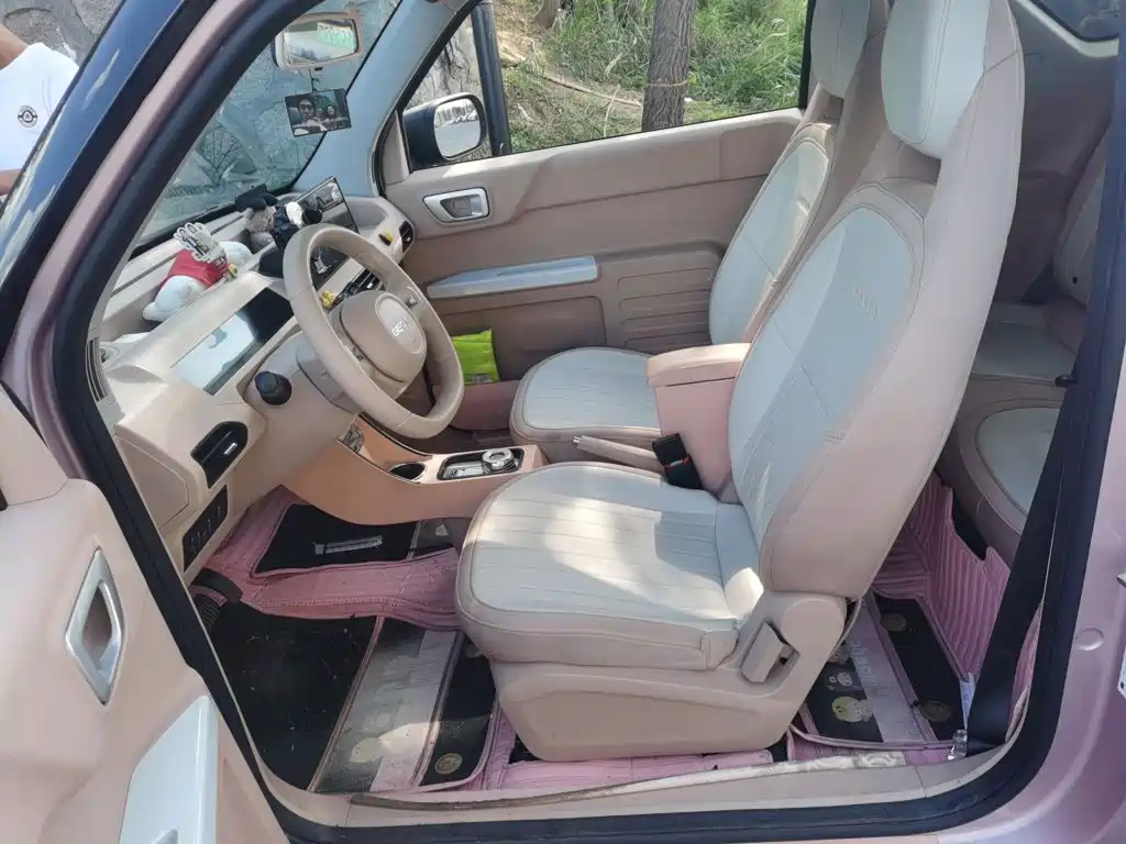Geely Galaxy Panda 2023 2023 Panda Mini 200km Endurance Bear