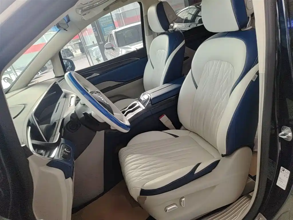 Buick GL8 2023 ES Landmaster Comfort фото 15
