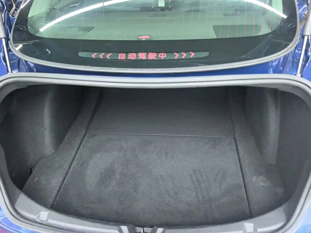 Фото 19 - Tesla Model 3