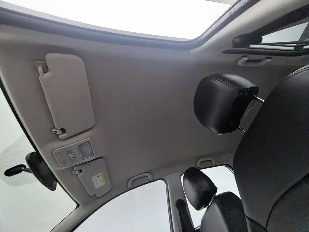 Nezha Auto Nezha N01 2019 2020 380i