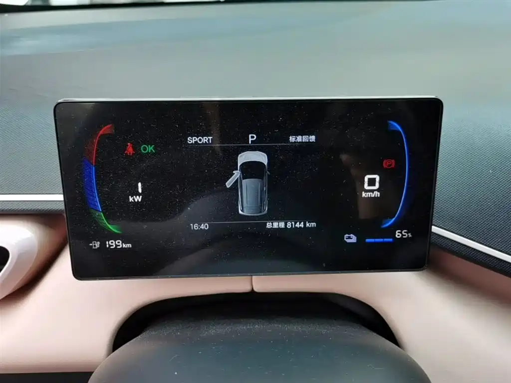 BYD Seagull 2025 Smart Drive Edition 305km Vitality Version фото 12