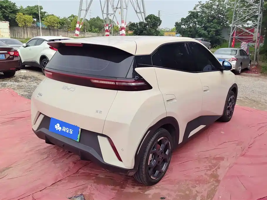 BYD Seagull 2024 Glory Edition 305km Freedom Edition фото 3
