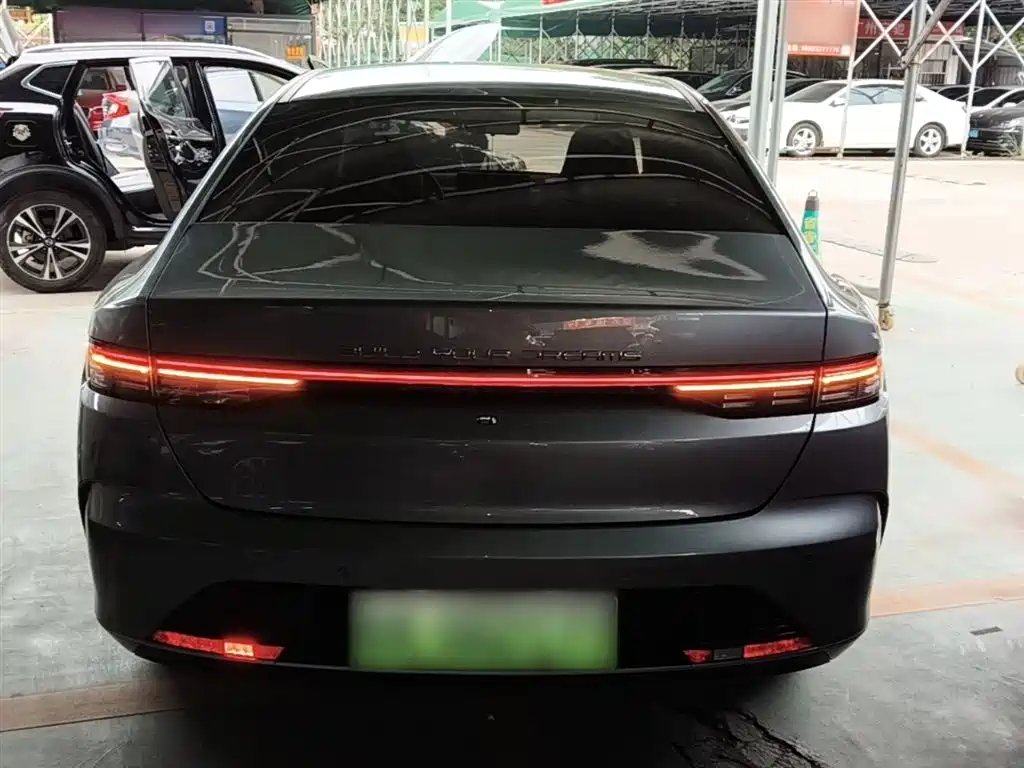 BYD Destroyer 05 2024 Glory Edition DM-i 55KM Luxury фото 6