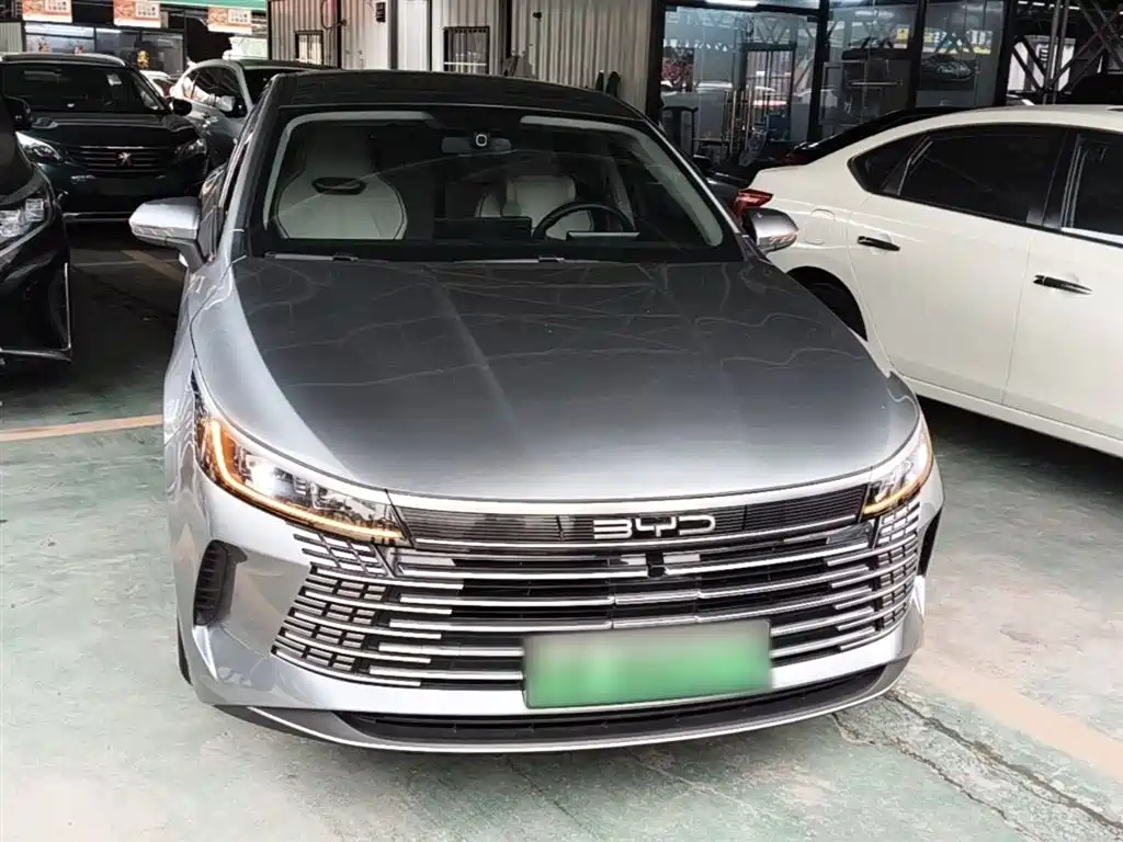 BYD Destroyer 05 2024 Glory Edition DM-i 55KM Luxury фото 3