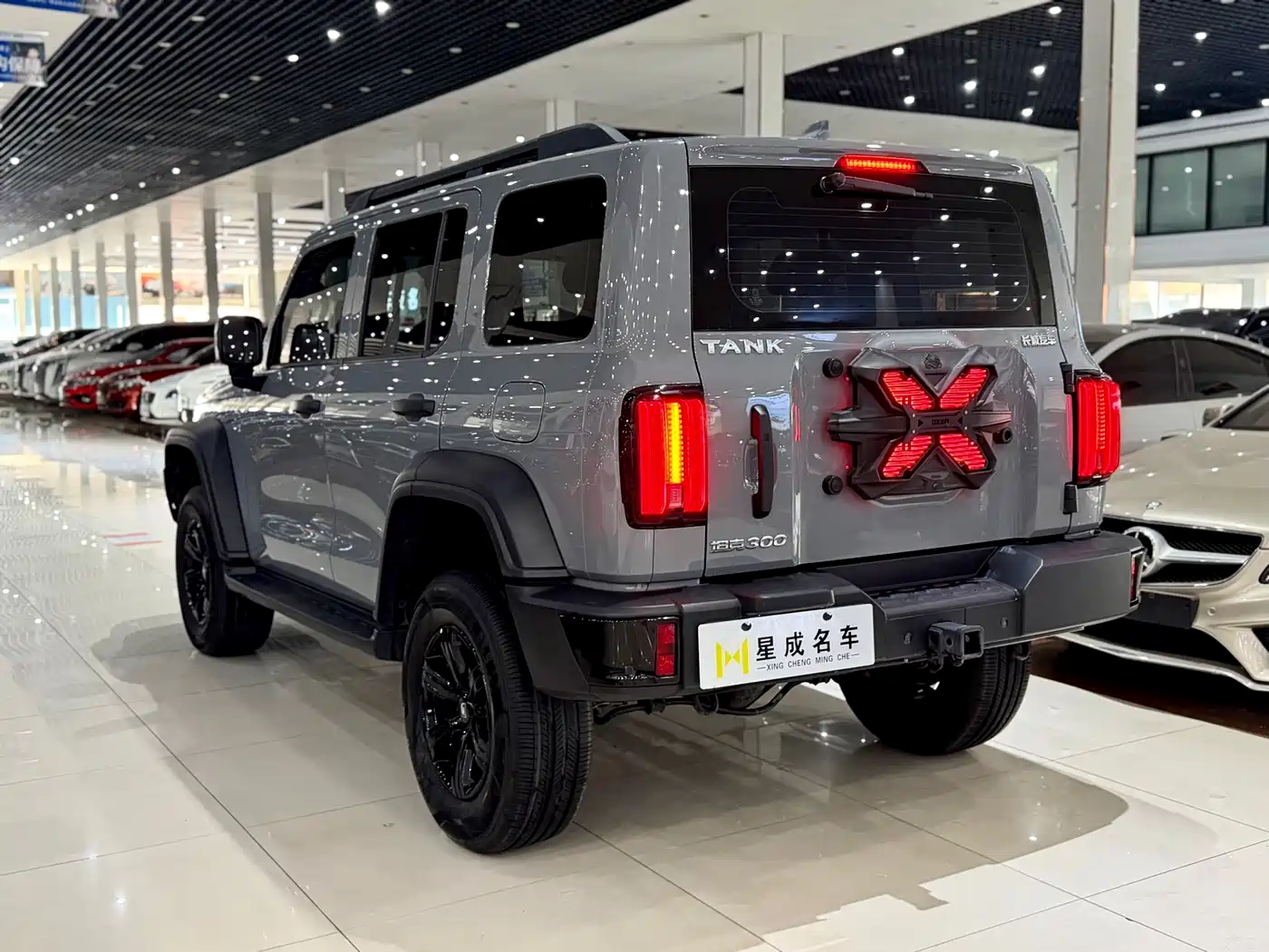 Tank 300 2023 Off-Road Edition 2.0T Conqueror фото 18