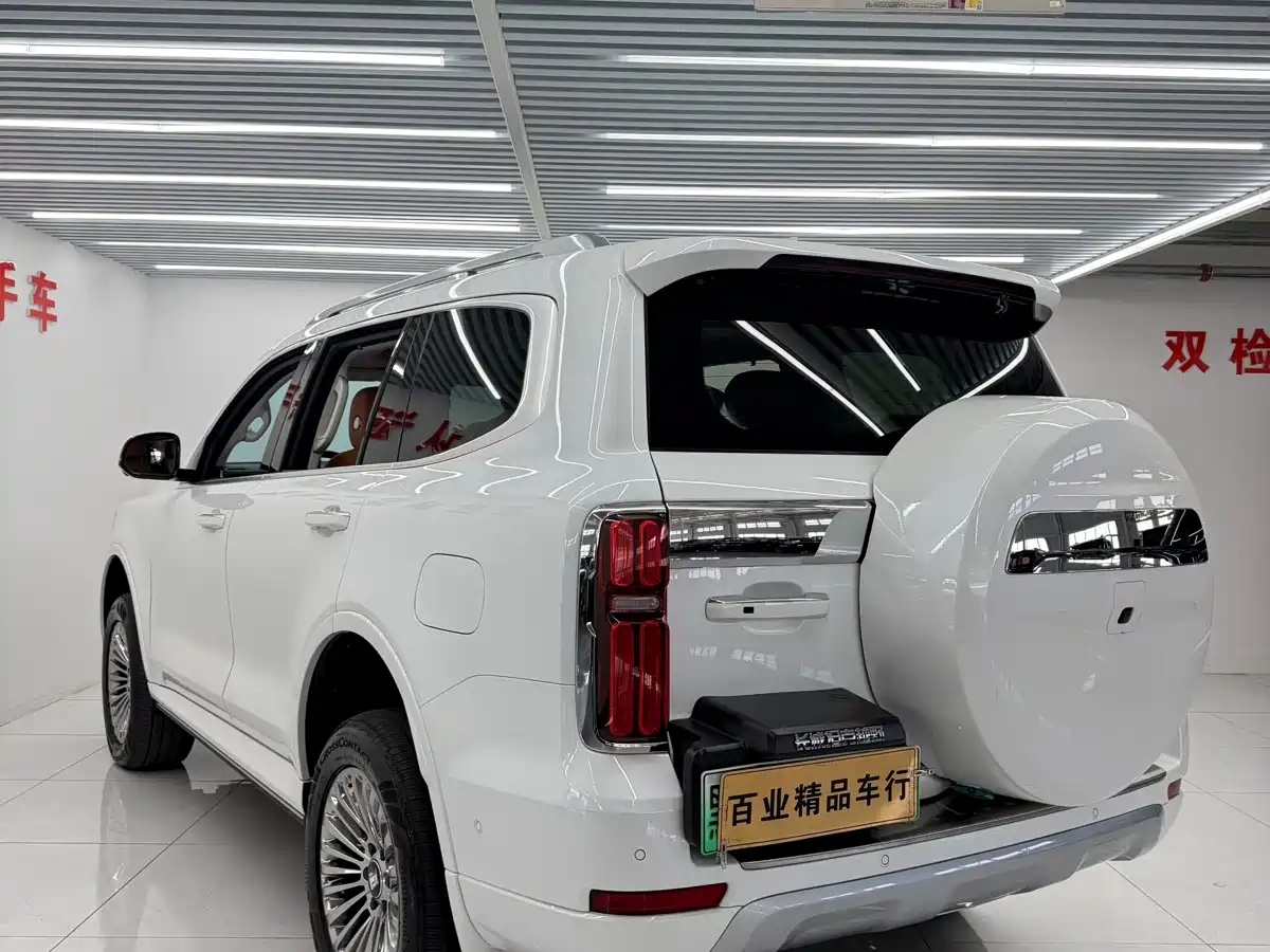 Tank 500 EV 2024 Hi4-T фото 9