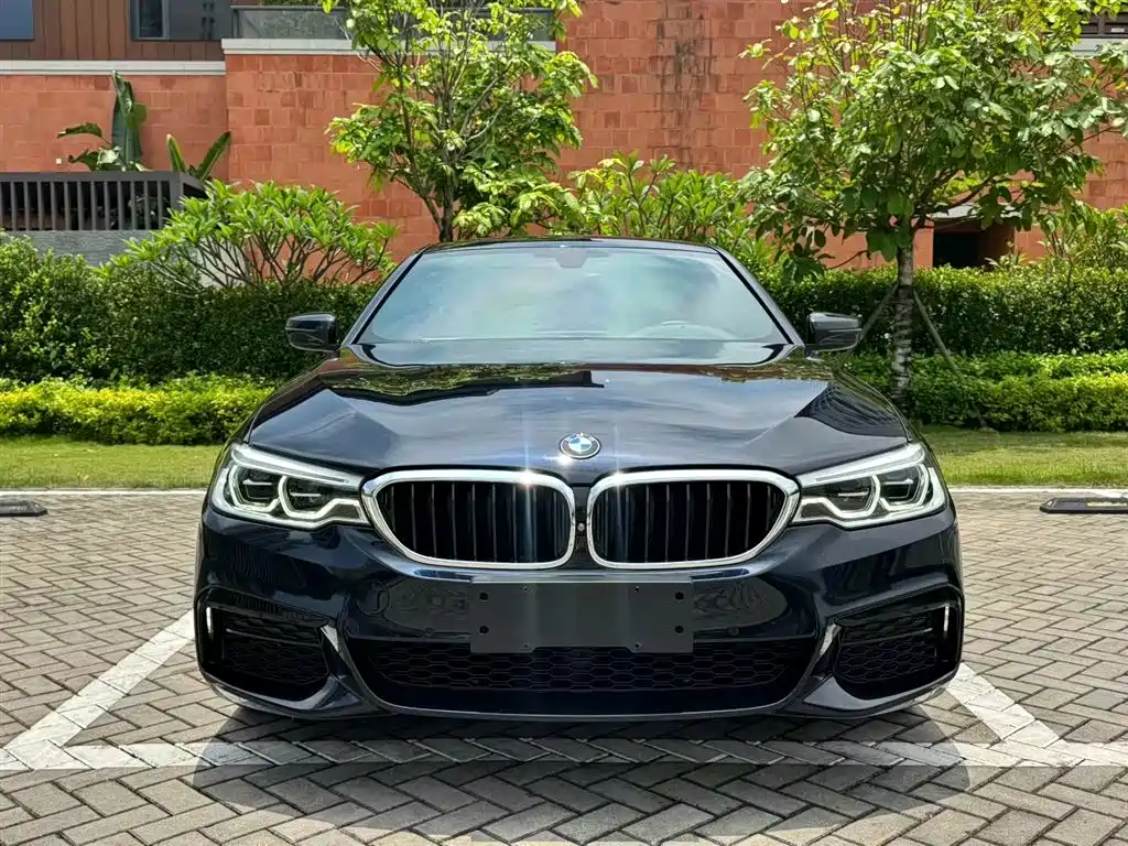 BMW 5 Series 2020 530Li Exclusive M Sport Package фото 2