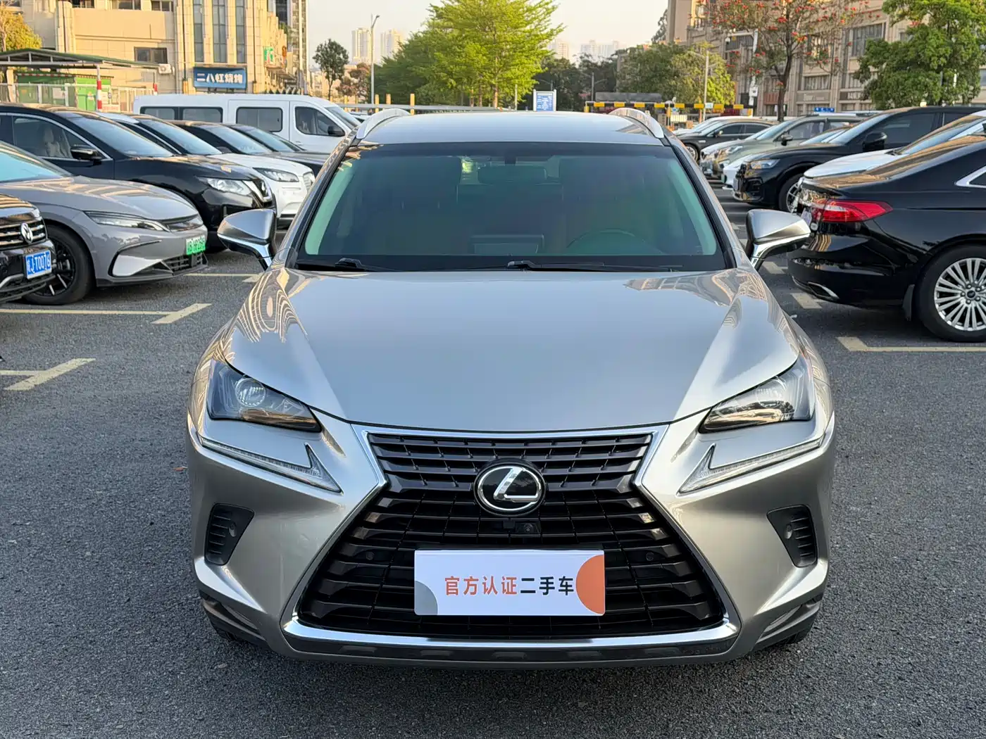 Lexus NX 2018 Model 300 FWD Fengxing Edition фото 2