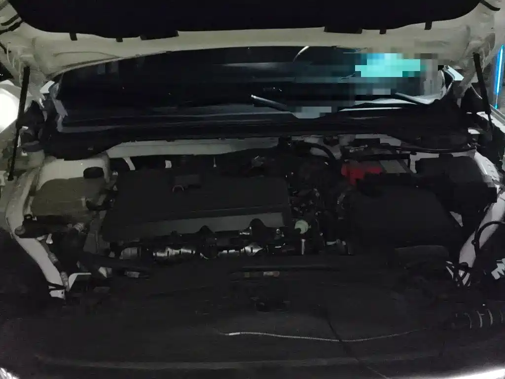 Ford EVOS 2022 2022 EcoBoost 245 ST-Line