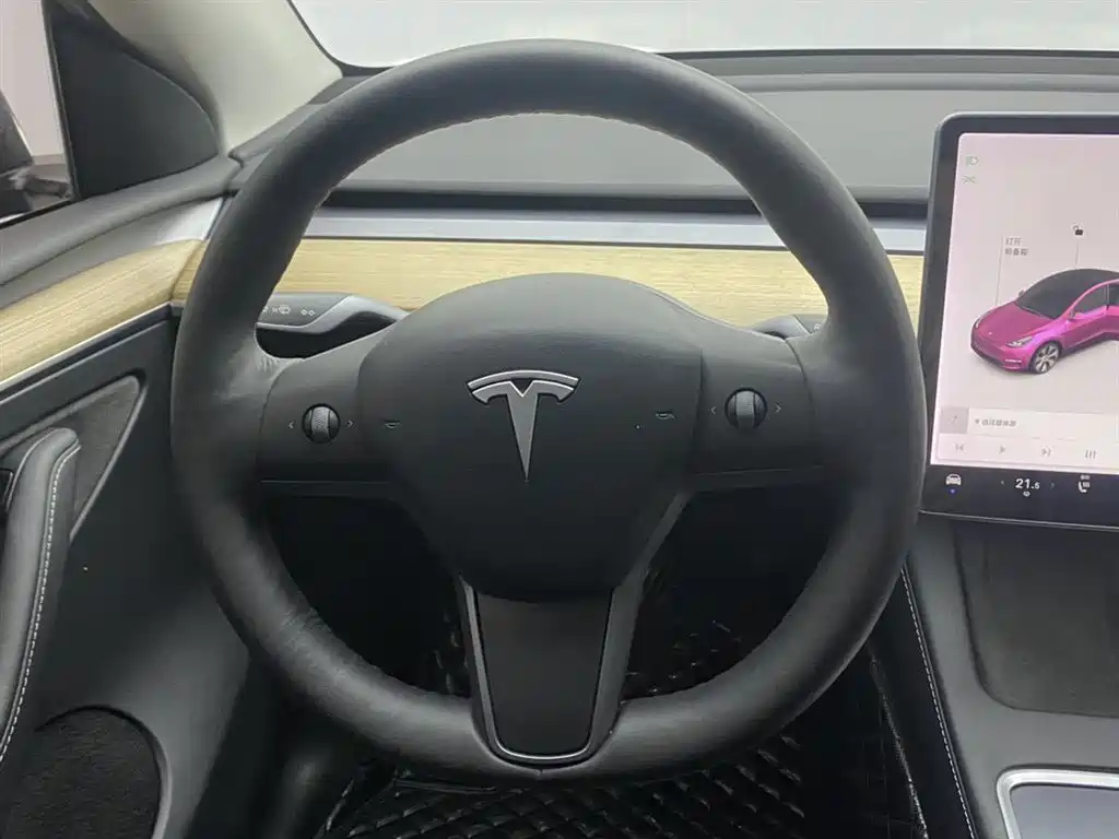  Tesla Model Y 2021 Standard Range Rear-Wheel Drive 14