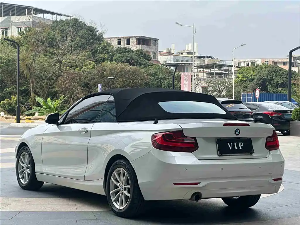 BMW 2 Series (Import) 2015 218i Convertible Coupe фото 7