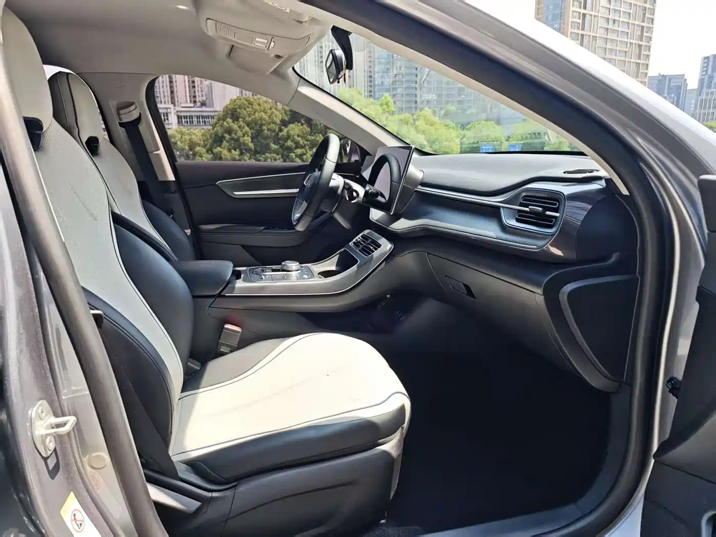 BYD Destroyer 05 2024 Glory Edition DM-i 55KM Luxury фото 10