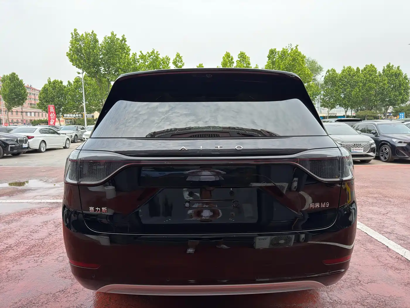 AITO Wenjie AITO M9 2024 Range Extender Max Edition 42kWh 6-seater фото 5