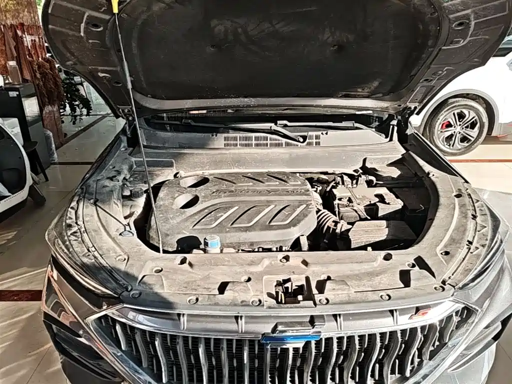 Фото 20 - Changan Oshan Changan Oushang X5
