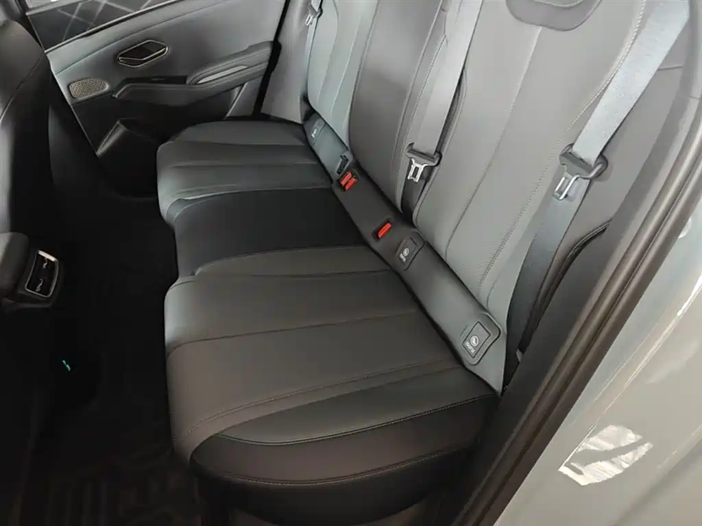 BYD Qin L 2024 DM-i 80KM Leading Edition фото 17