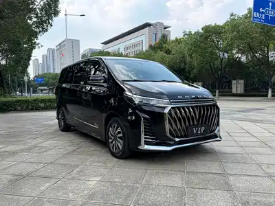 Maxus G20
