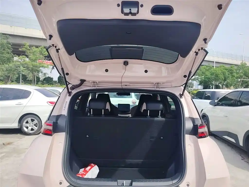 BYD Seagull 2025 305km Vitality фото 19