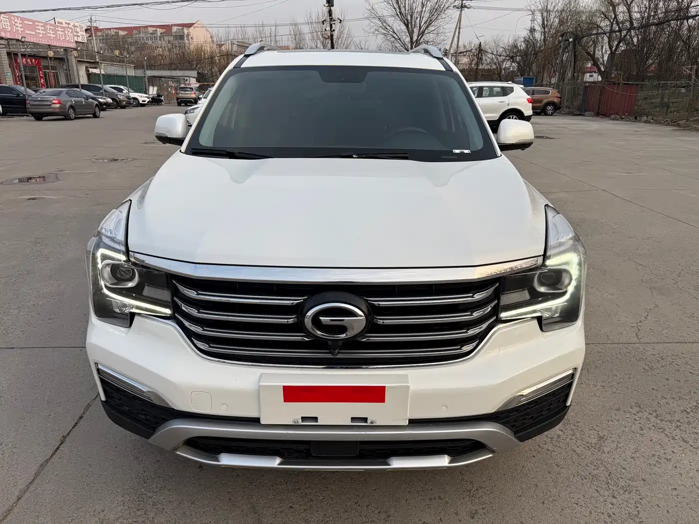 GAC Trumpchi Trumpchi GS8 2017 320T 2WD Luxury Edition (7-Seater) фото 2