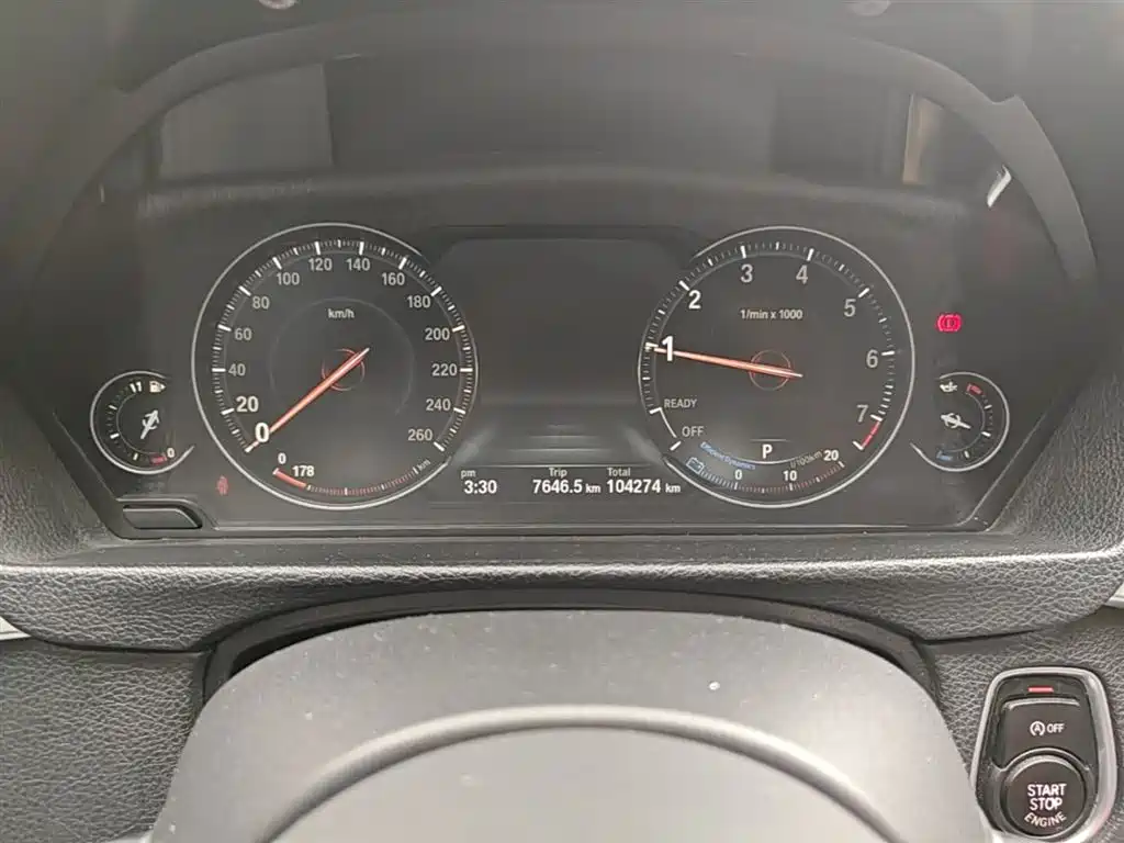 BMW 3 Series 2019 320Li M Luxury Package фото 12