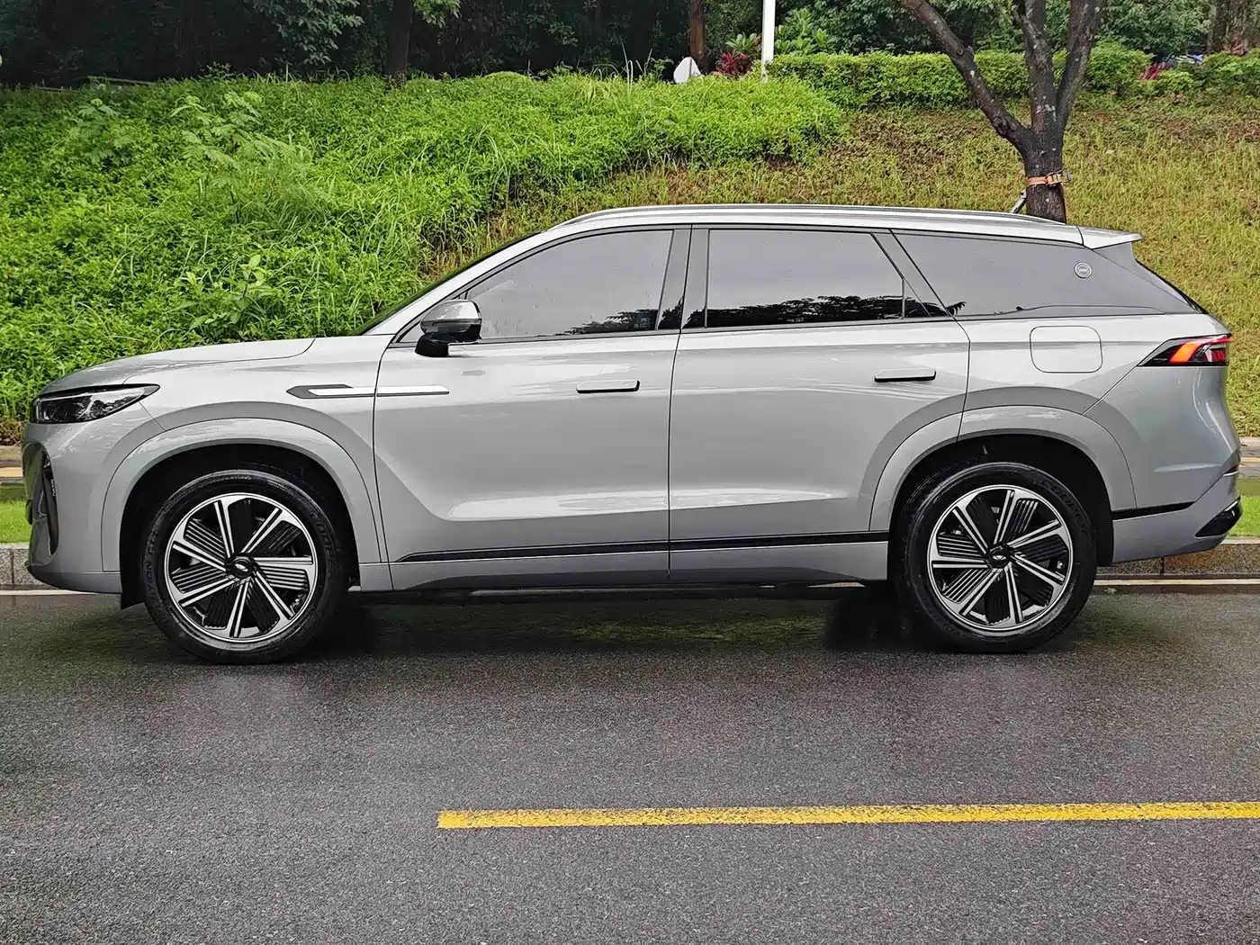 Chery Fengyun Fengyun T10 2024 2024 210 Luxury Edition