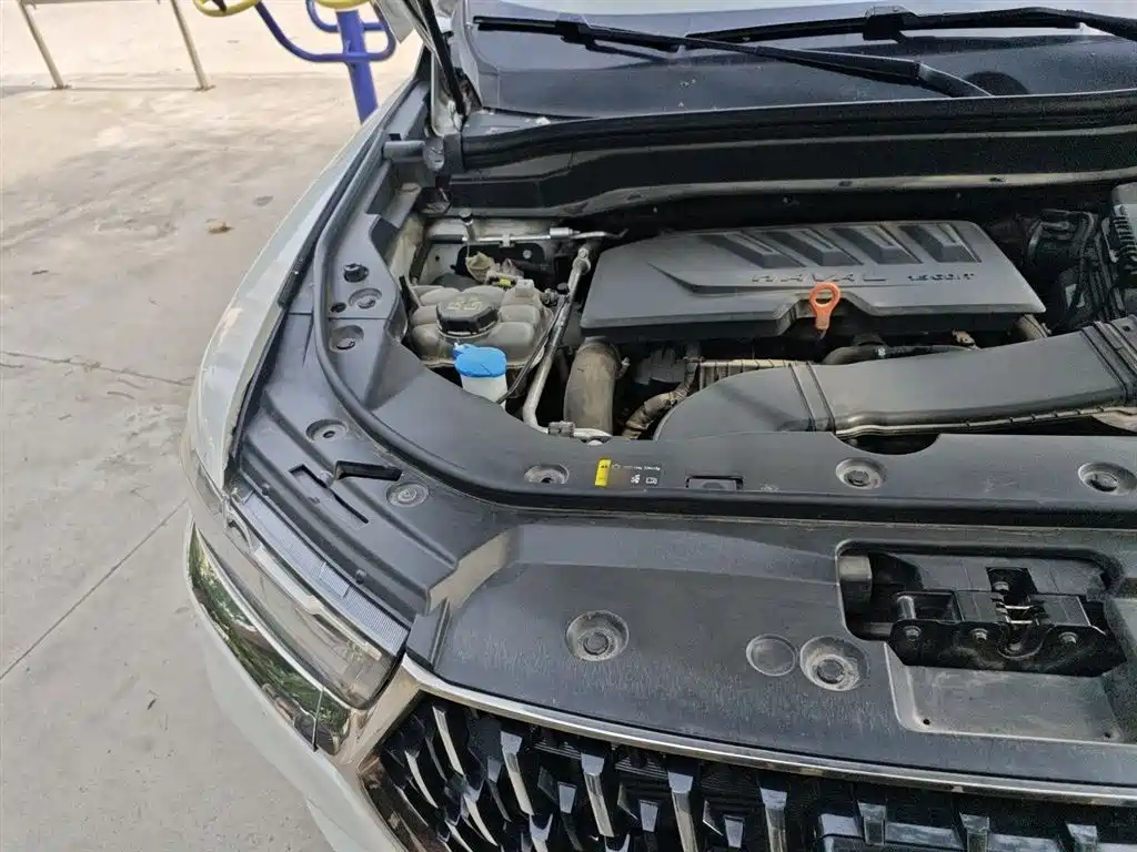 Haval H6 2021 National Trend Edition 1.5GDIT Automatic Champion Edition фото 22