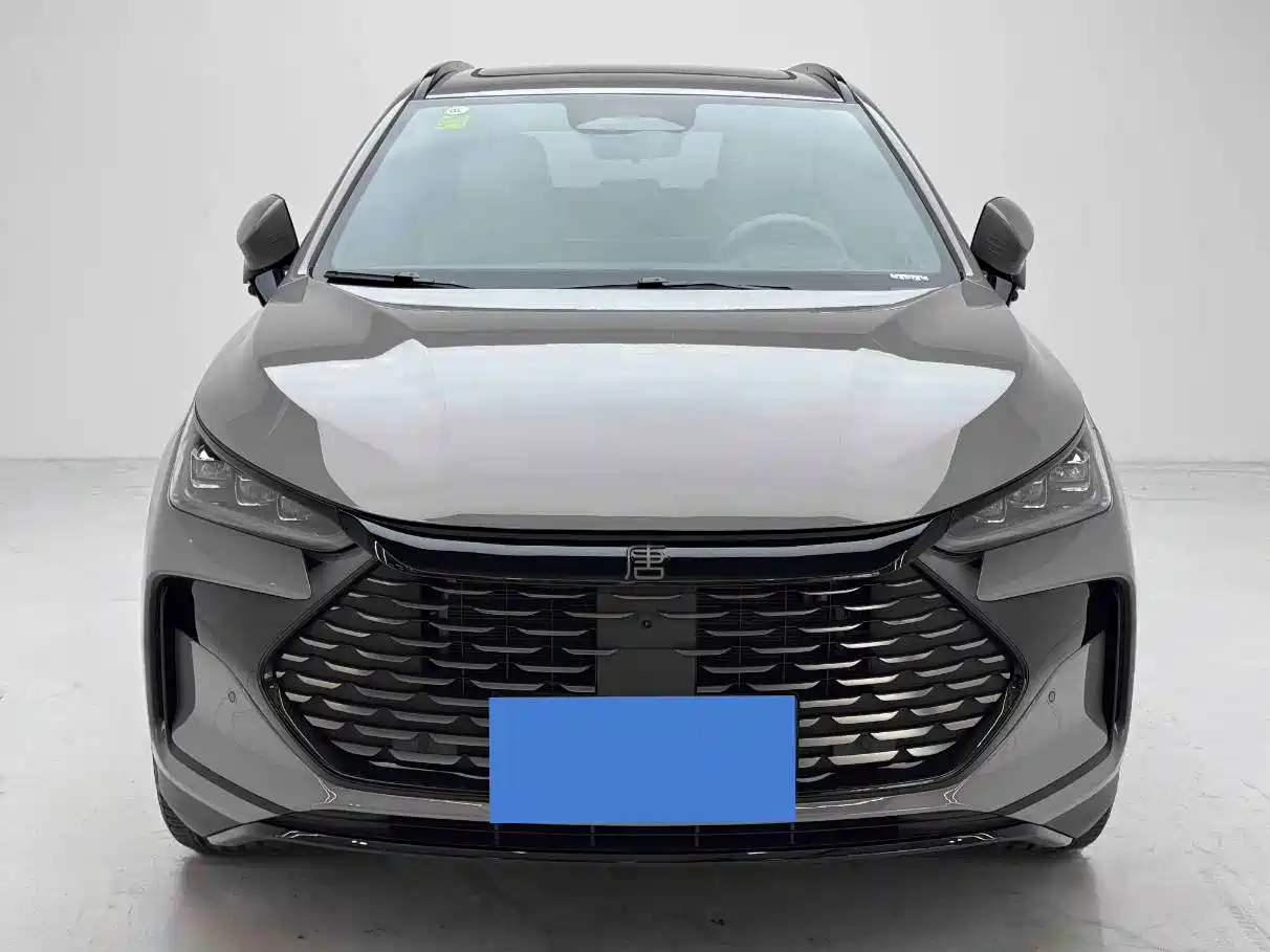 BYD Tang New Energy 2025 2025 Smart Driving Edition DM-i 115KM Premium