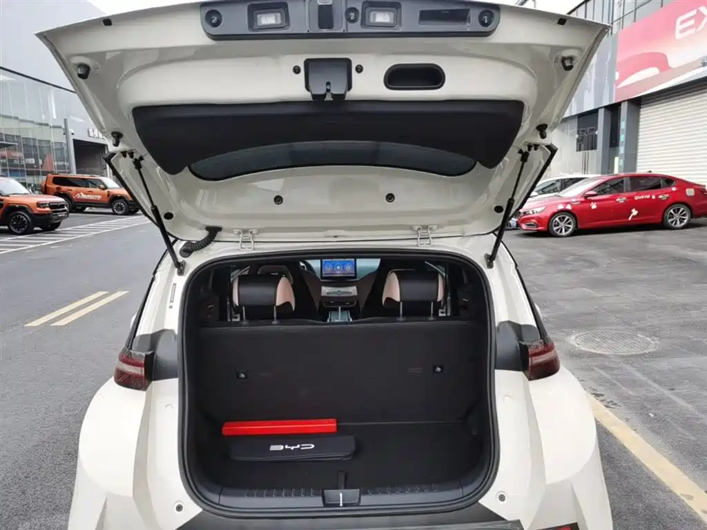 BYD Seagull 2025 Smart Drive Edition 305km Vitality Version фото 19