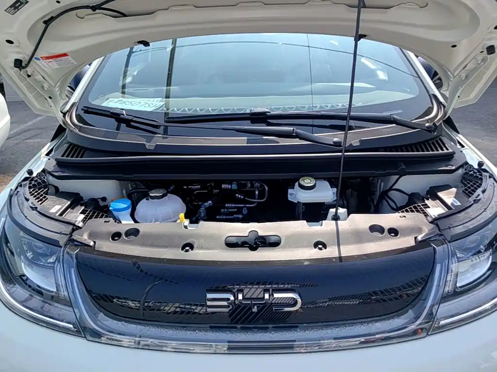 BYD Dolphin 2026 2025 420km Freedom Edition