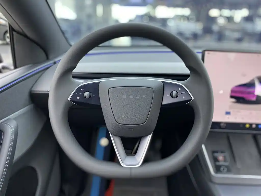Tesla Model Y 2026 2026 Rear-Wheel Drive