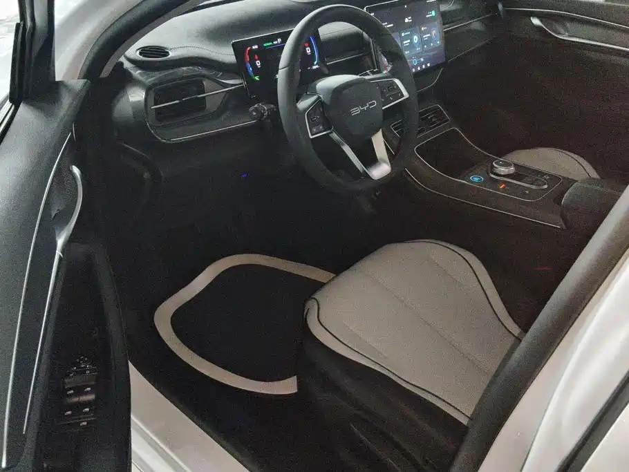 BYD Destroyer 05 2025 2024 Glory Edition DM-i 55KM Luxury