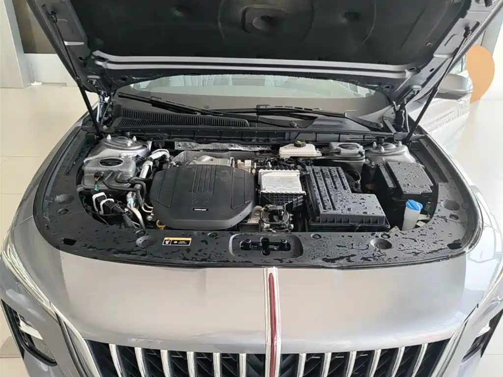 Hongqi H5 PHEV 2025 170 Super Hybrid Edition фото 20