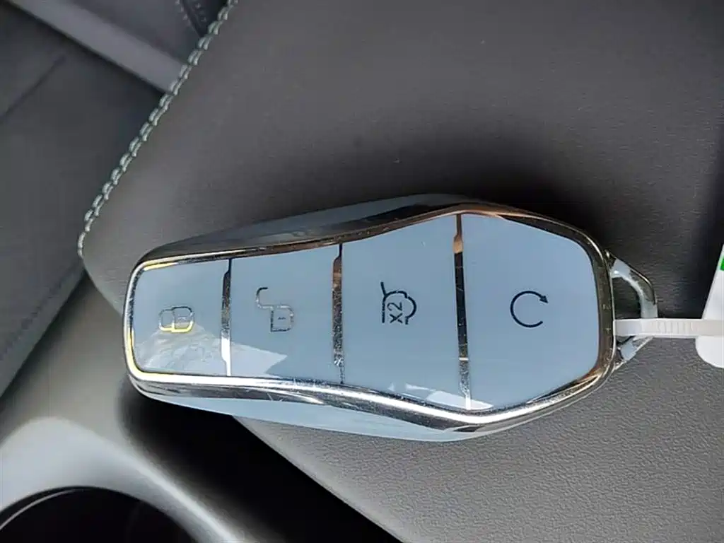 BYD Qin PLUS 2025 EV Smart Drive Edition 420KM Leading Type фото 9