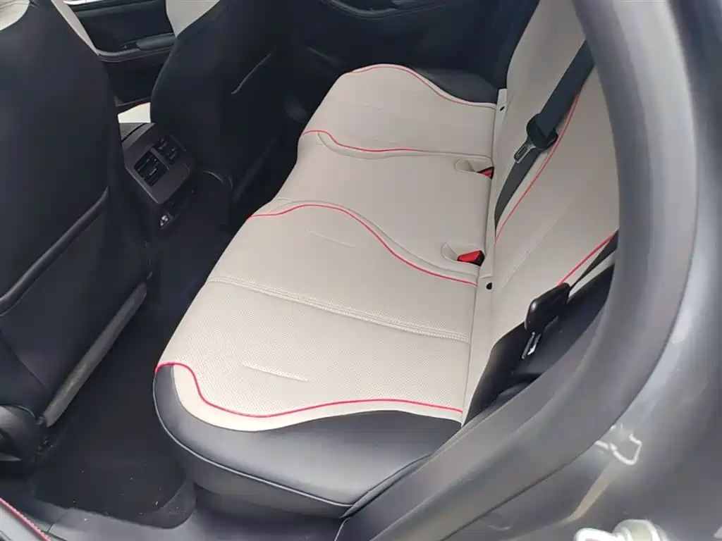 BYD Destroyer 05 2023 Champion Edition DM-i 55KM Luxury фото 17