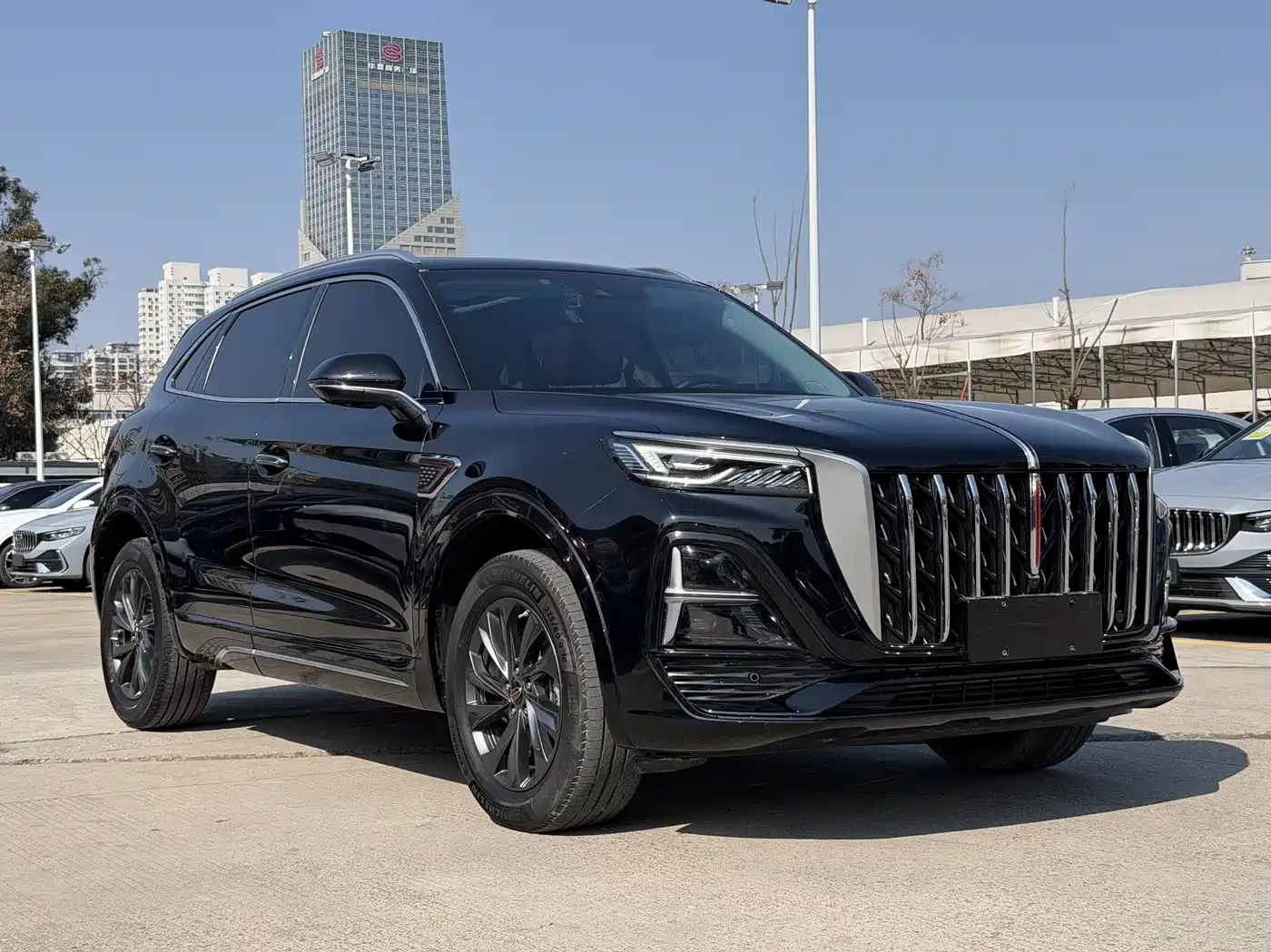 Hongqi HS5 2023 2.0T Flag Enjoy Pro Edition фото 3