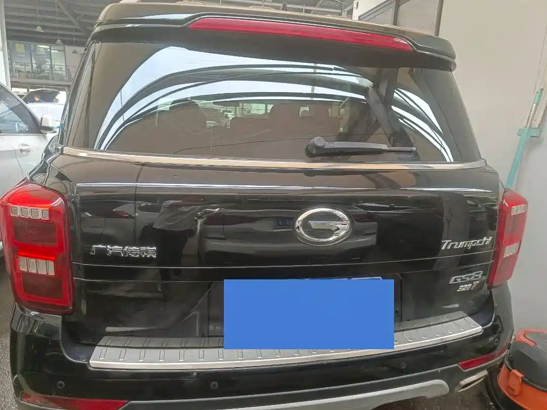 GAC Trumpchi Trumpchi GS8 2017 320T 2WD Luxury Smart Connect (7-seater) фото 17