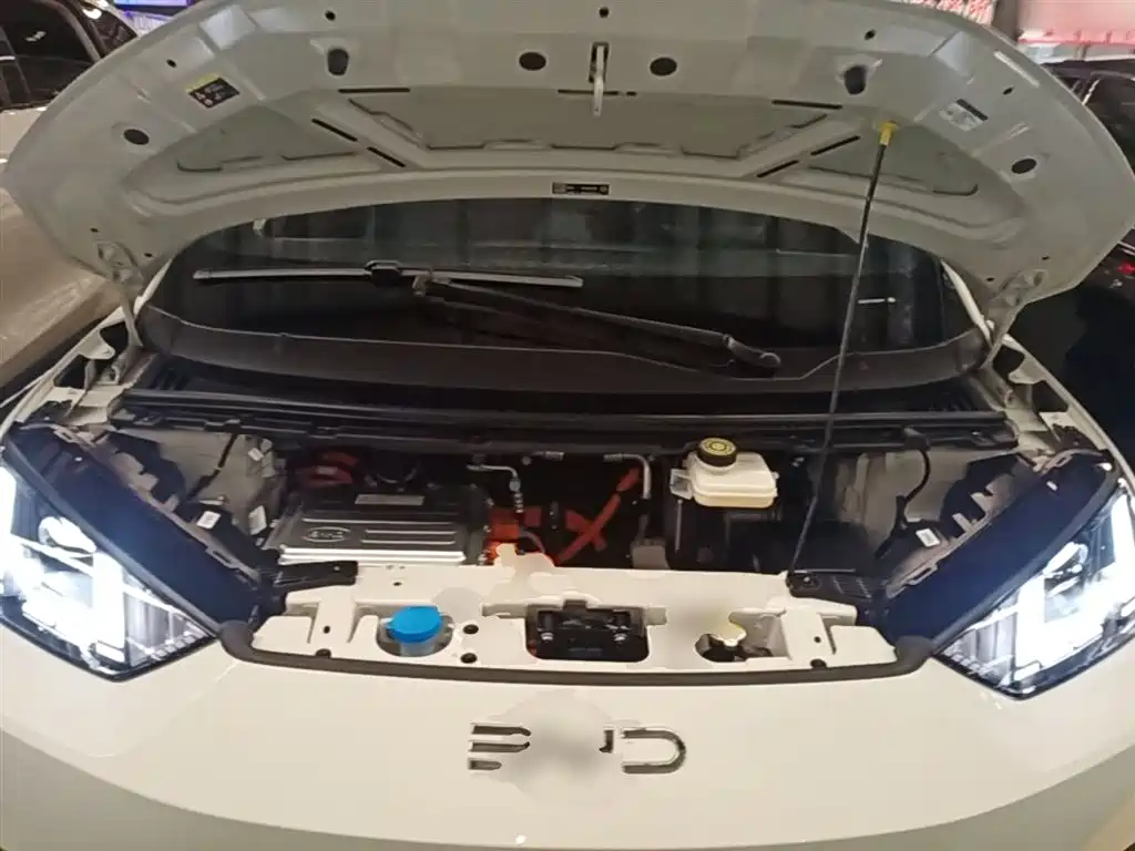 BYD Seagull 2025 Smart Drive Edition 305km Freedom Version фото 20