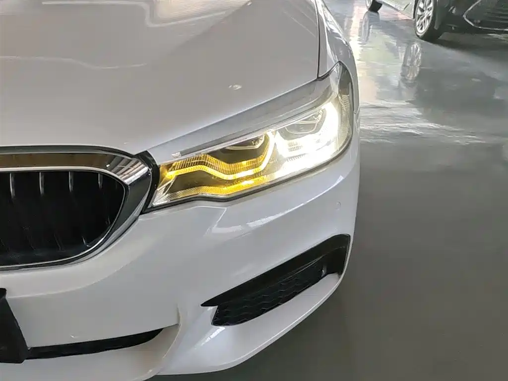 BMW 5 Series 2018 525Li M Sport Package фото 24