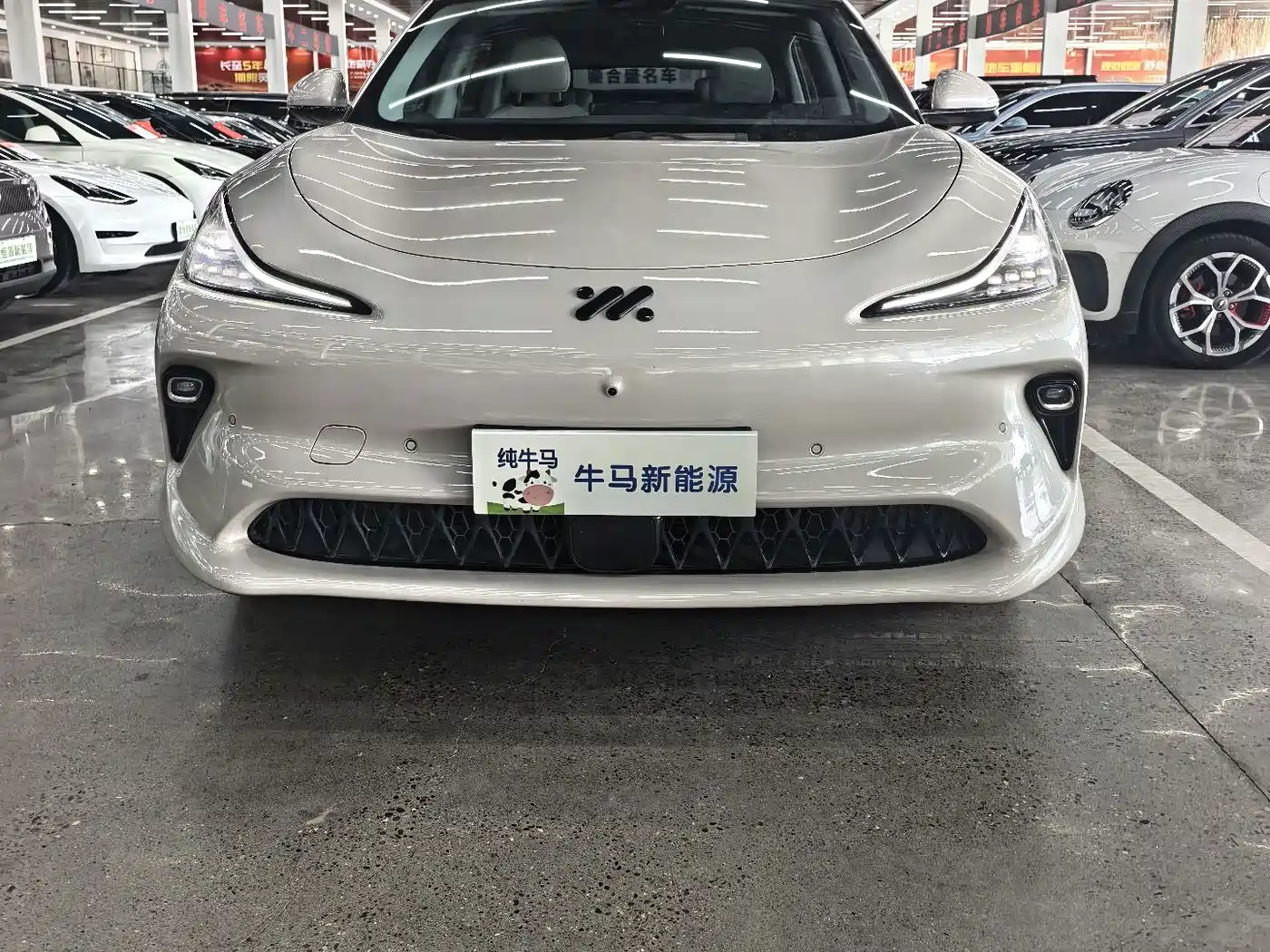 IM Motors IM LS6 2024 2025 Long Range Gecko Smart Drive Edition