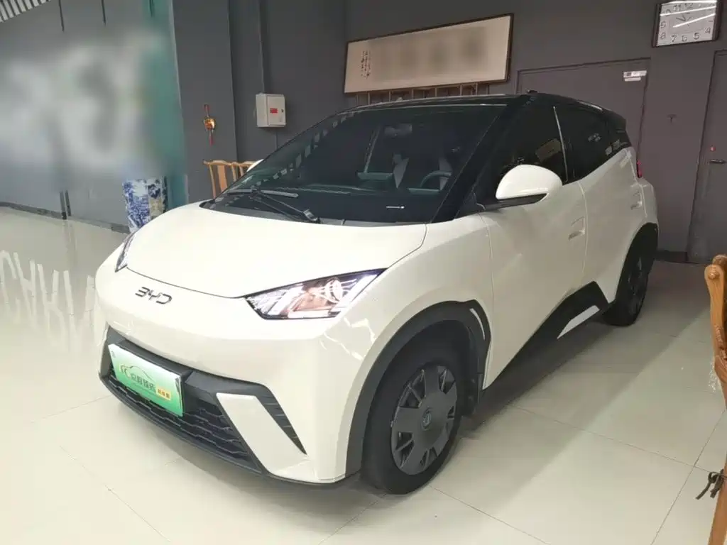 BYD Seagull 2025